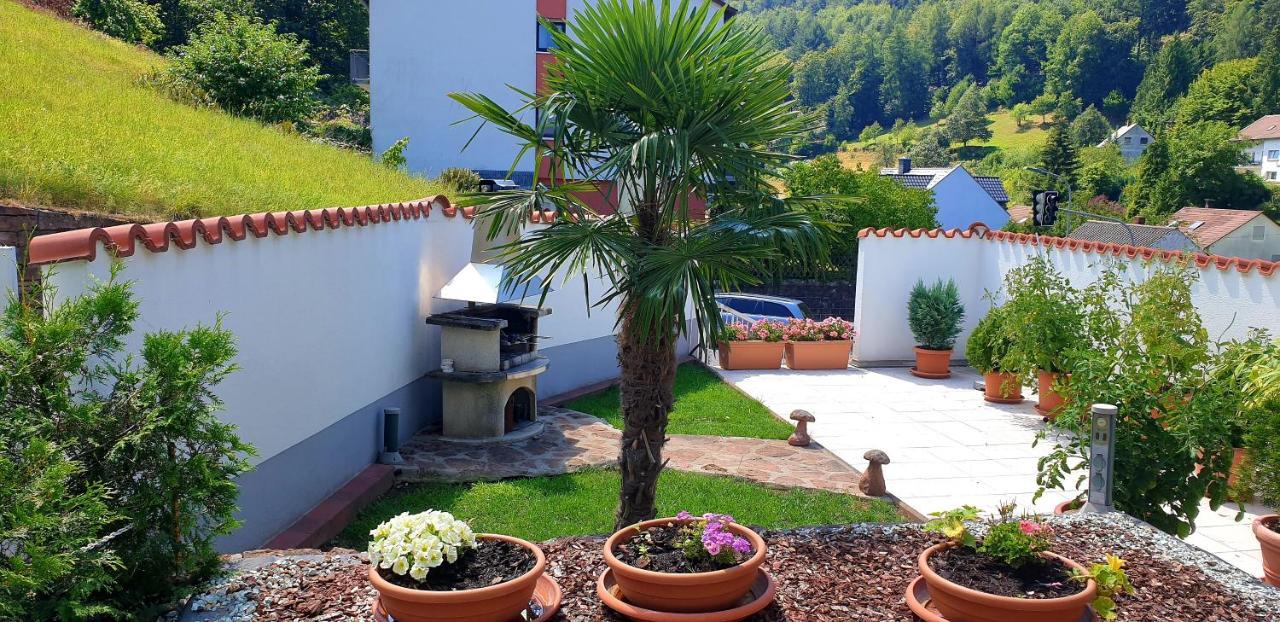 Apartmenthaus "Zum Lowen" Heidelberg - Ziegelhausen Extérieur photo