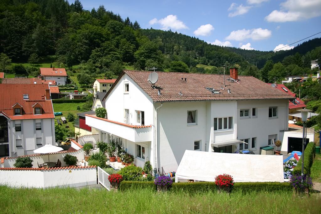 Apartmenthaus "Zum Lowen" Heidelberg - Ziegelhausen Extérieur photo