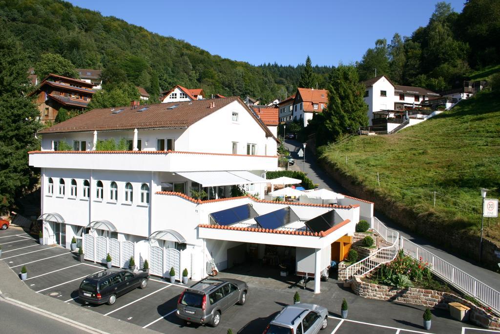 Apartmenthaus "Zum Lowen" Heidelberg - Ziegelhausen Extérieur photo
