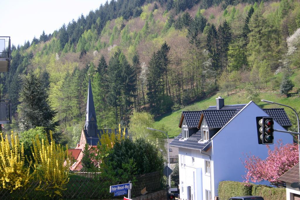 Apartmenthaus "Zum Lowen" Heidelberg - Ziegelhausen Extérieur photo