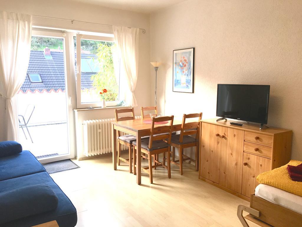 Apartmenthaus "Zum Lowen" Heidelberg - Ziegelhausen Extérieur photo