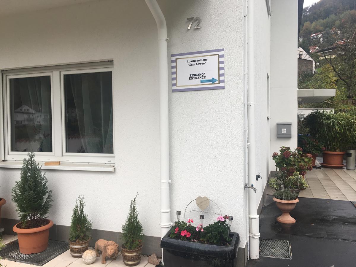 Apartmenthaus "Zum Lowen" Heidelberg - Ziegelhausen Extérieur photo