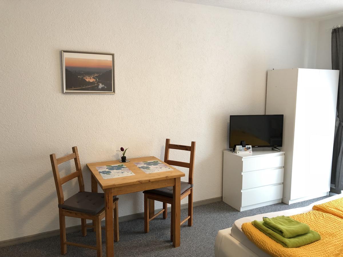 Apartmenthaus "Zum Lowen" Heidelberg - Ziegelhausen Extérieur photo