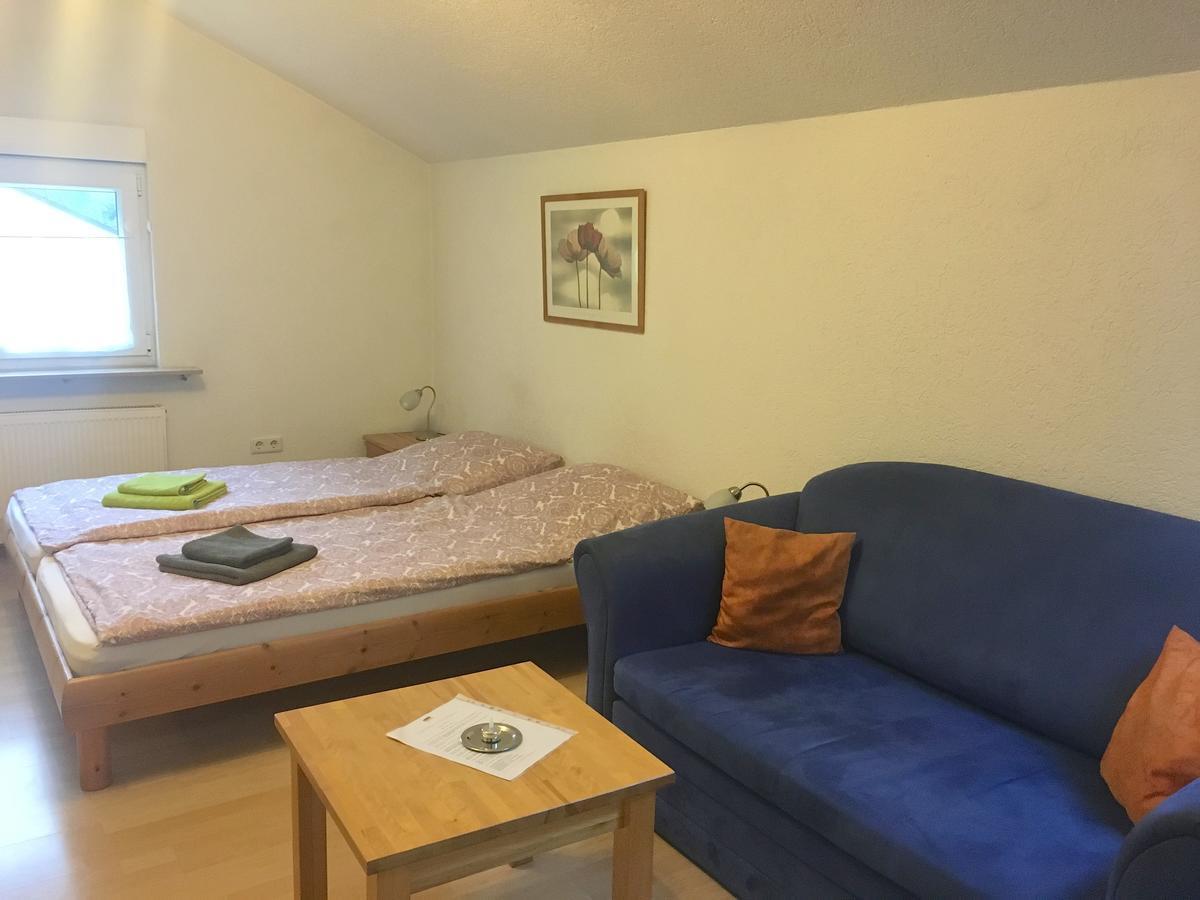 Apartmenthaus "Zum Lowen" Heidelberg - Ziegelhausen Extérieur photo